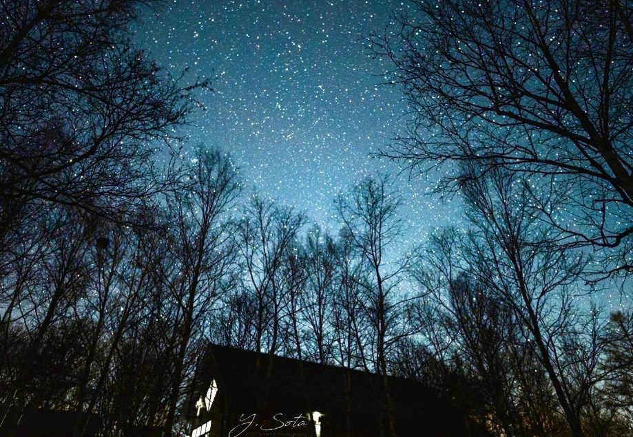 関東で愛犬と泊まれる星が綺麗なキャンプ場