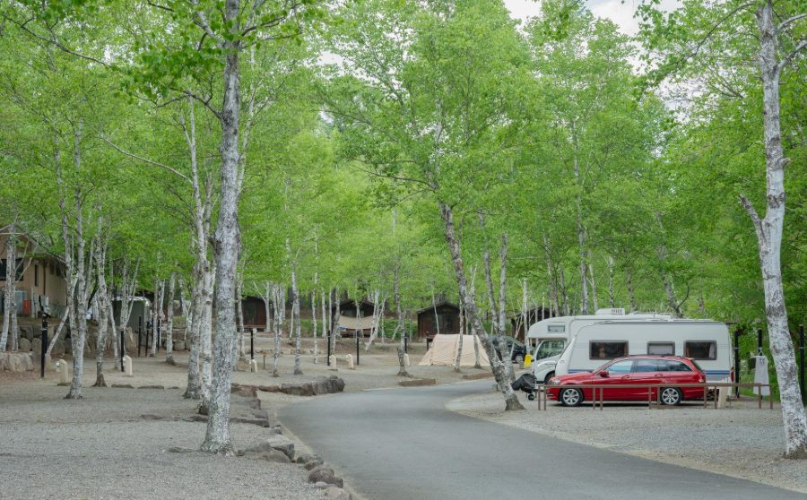 関東で愛犬と泊まれる星が綺麗なキャンプ場
