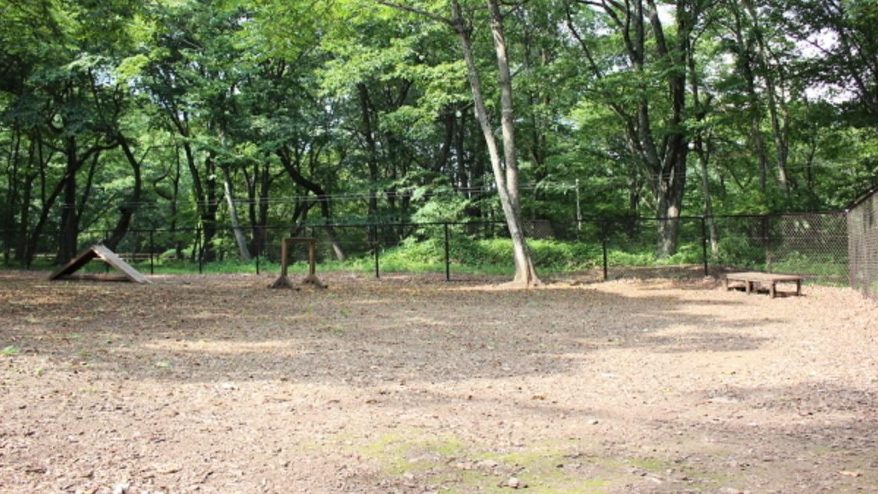 関東で愛犬と泊まれる星が綺麗なキャンプ場