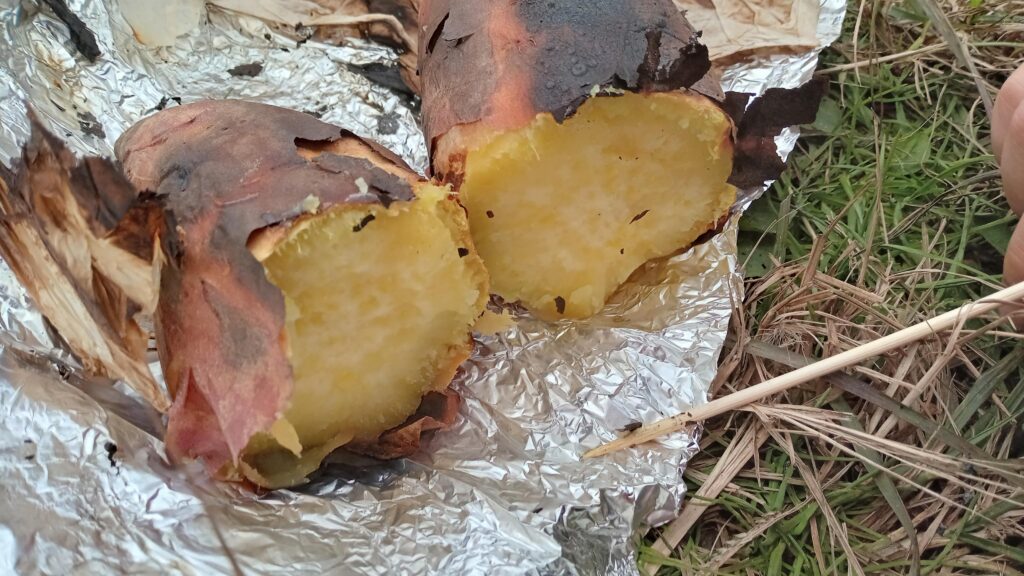 焚き火 焼き芋 アルミホイル