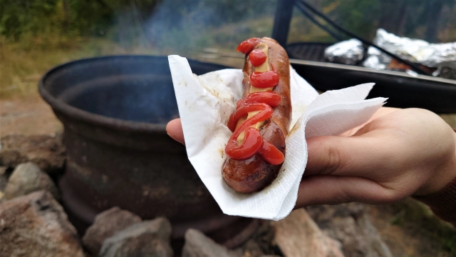 焚き火　ソーセージ　焼き方