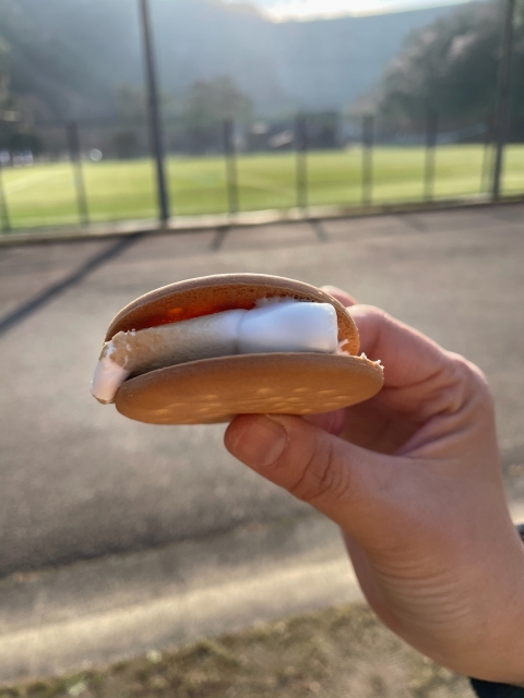 焚き火で作るおすすめ簡単おやつ　スモア